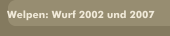 Welpen: Wurf 2002 und 2007