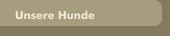 Unsere Hunde